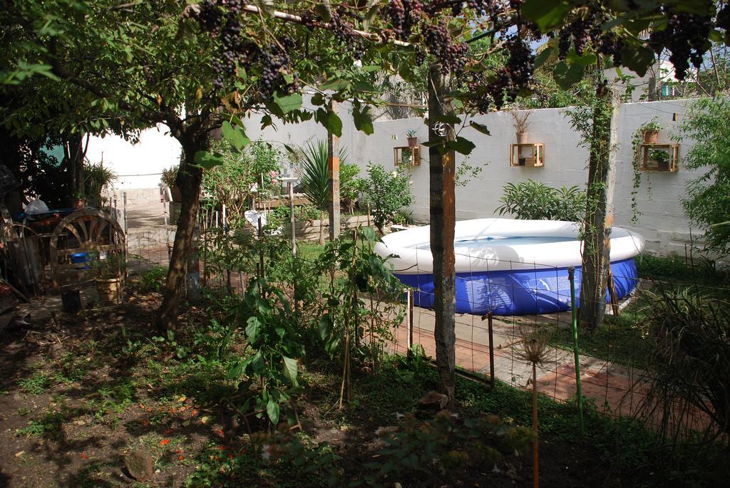 Home With Big Garden モンテビデオ エクステリア 写真